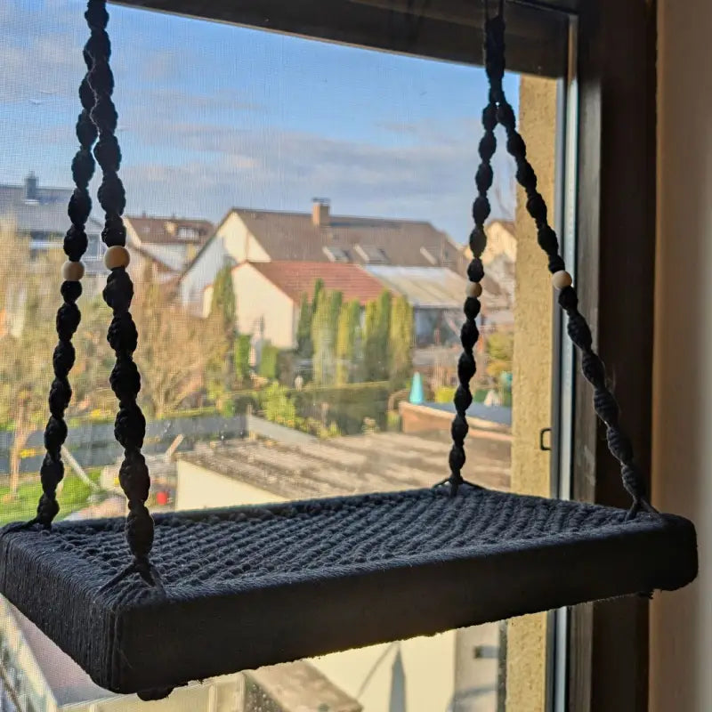 Die perfekte Fensterliege für Katzen: Unsere Erfahrungen und Tipps 🐾