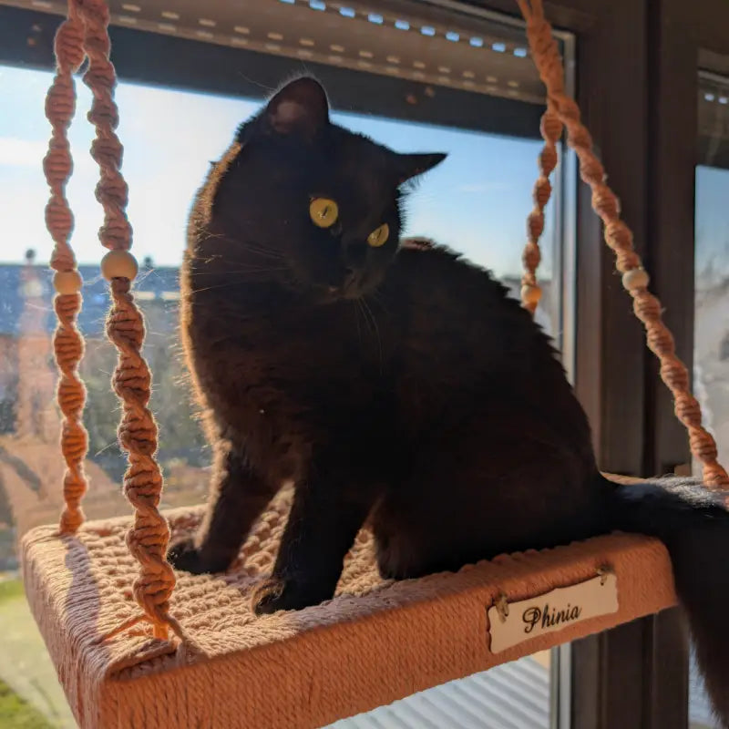 Eine katzengerechte Fensterliege - unsere Erfahrung