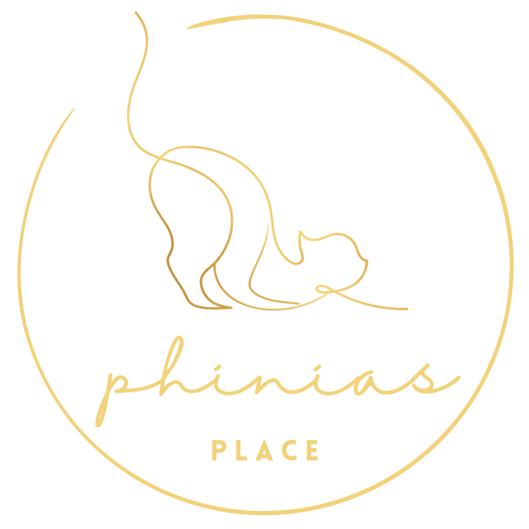 Phinias Place