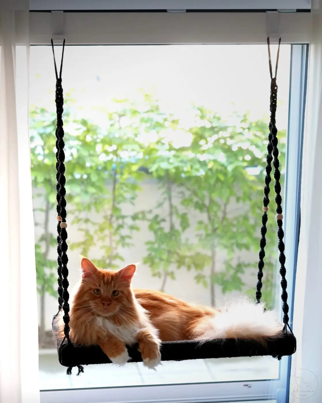 Orange Katze auf Phinias XXL Fensterliege, ideal für Maine Coons und Norwegische Waldkatzen