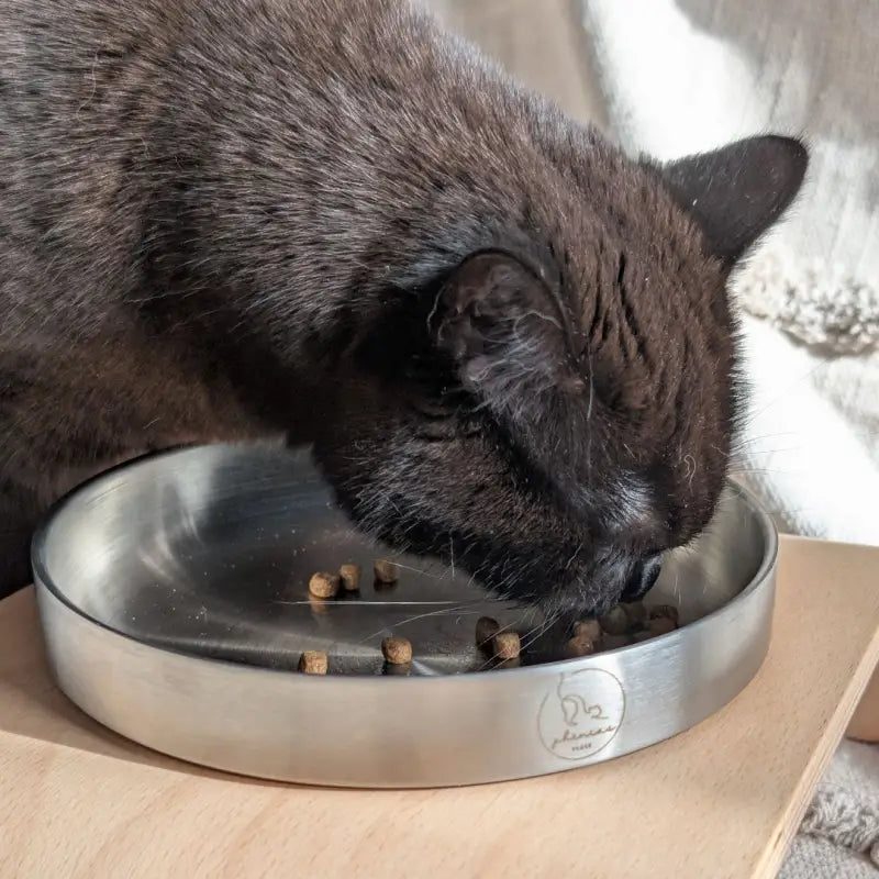 Schwarze Katze frisst aus einer Metallschüssel.