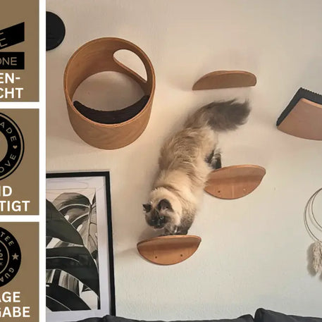 Katze klettert an Wandmöbel mit Phinias runder Katzenliege und mondförmigem Kissen