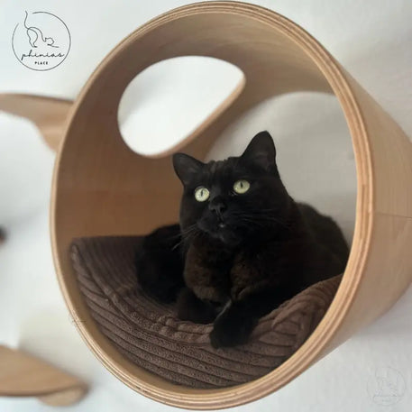 Schwarze Katze in der Phinias Runde Katzenliege mit mondförmigem Kissen