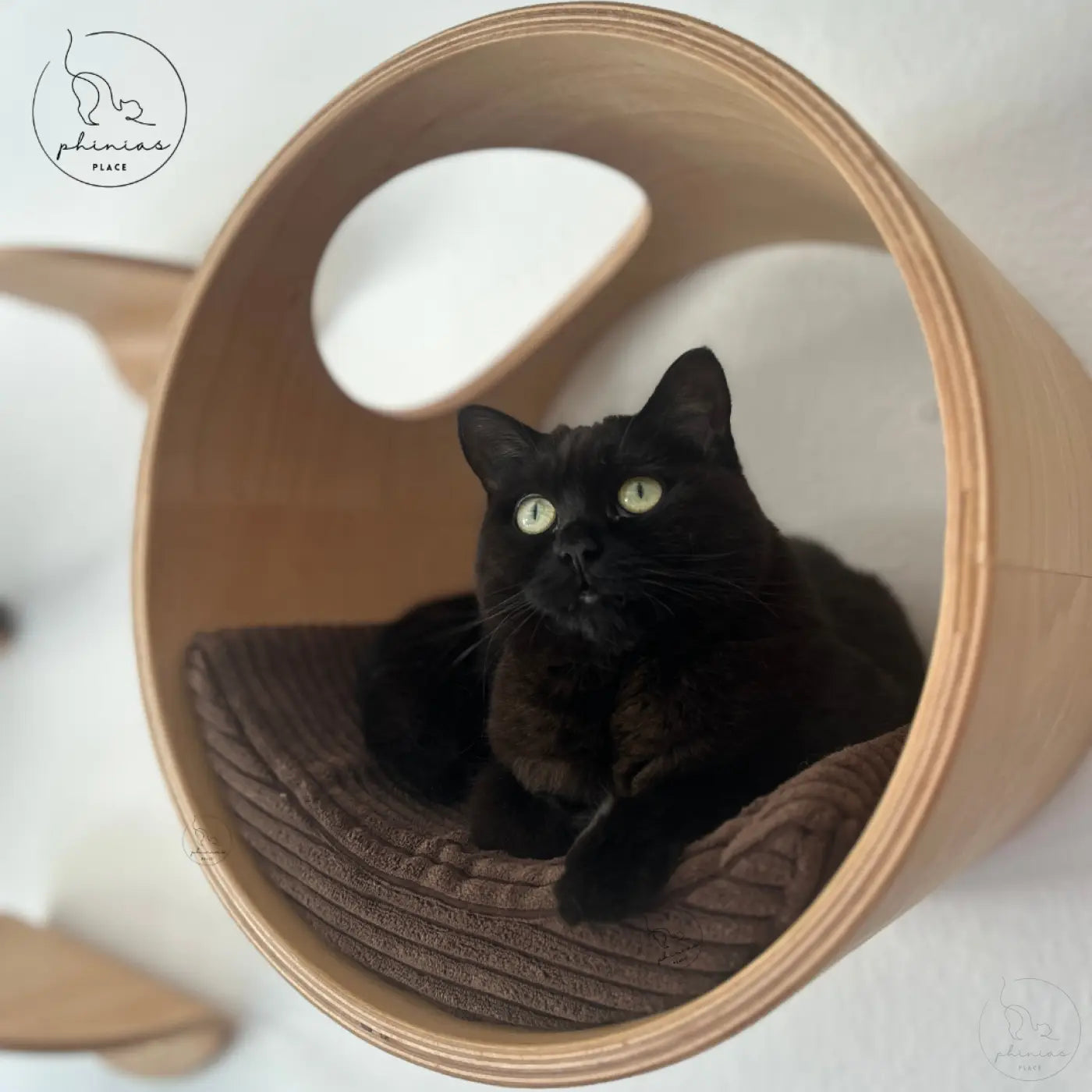 Schwarze Katze in der Phinias Runde Katzenliege mit mondförmigem Kissen