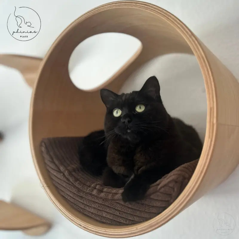 Schwarze Katze in der Phinias Runde Katzenliege mit mondförmigem Kissen