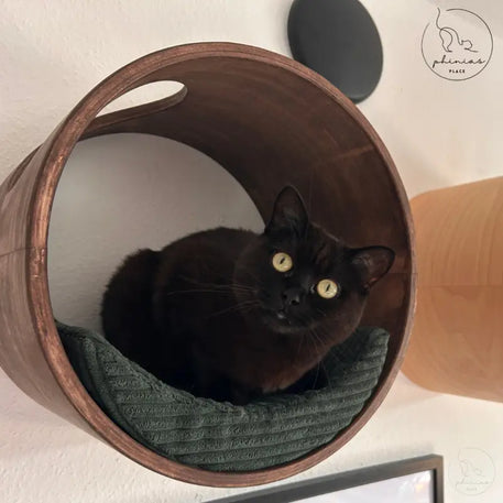 Schwarze Katze in der Phinias runde Katzenliege mit mondförmigem Kissen