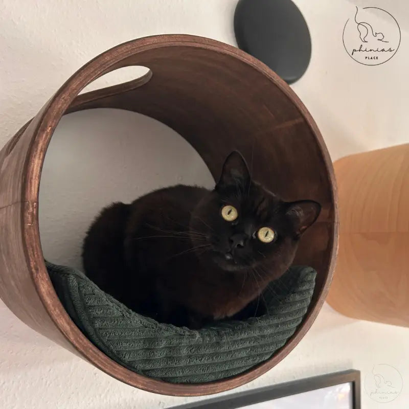 Schwarze Katze in der Phinias runde Katzenliege mit mondförmigem Kissen