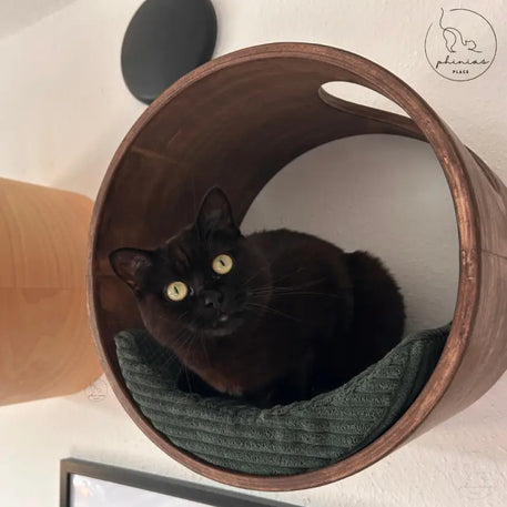 Schwarze Katze in runder Katzenliege mit mondförmigem Kissen von Phinias