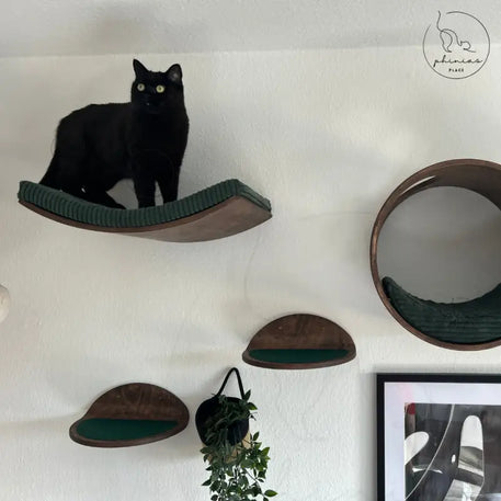 Schwarze Katze auf der Phinias runde Katzenliege mit mondförmigem Kissen, Wand Katzenmöbel
