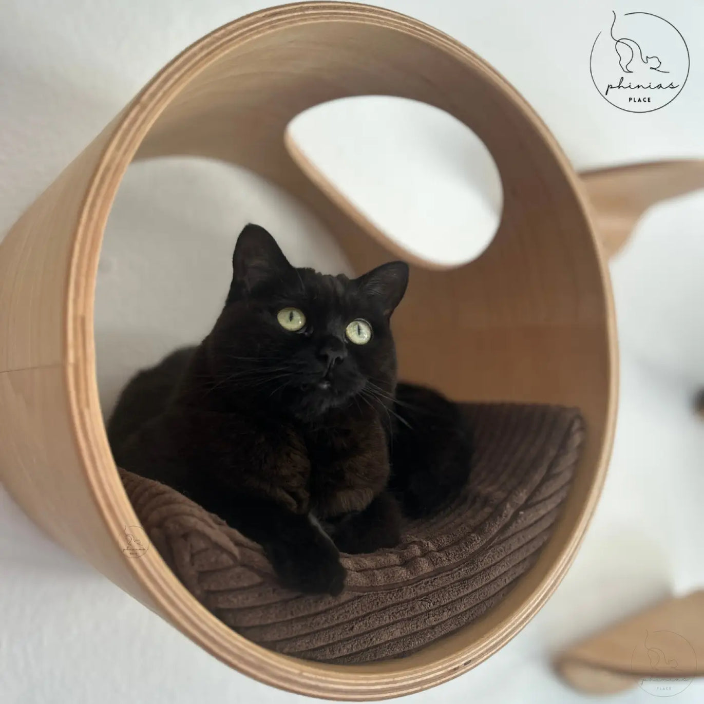 Schwarze Katze in runder Phinias Katzenliege mit mondförmigem Kissen