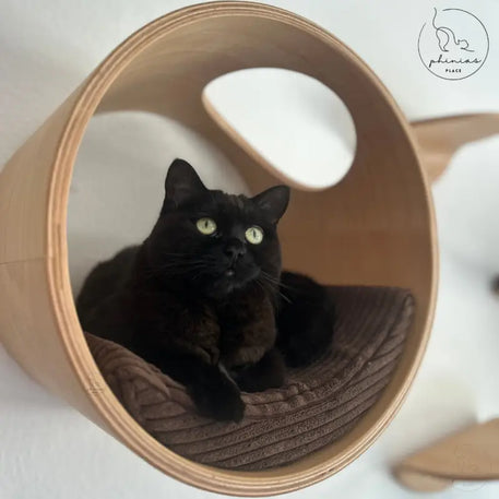 Schwarze Katze in runder Phinias Katzenliege mit mondförmigem Kissen