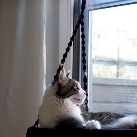 Phinias Fensterliege Katzenliege: Schwarze Katzenhängematte mit geflochtener Seil und Holzstange