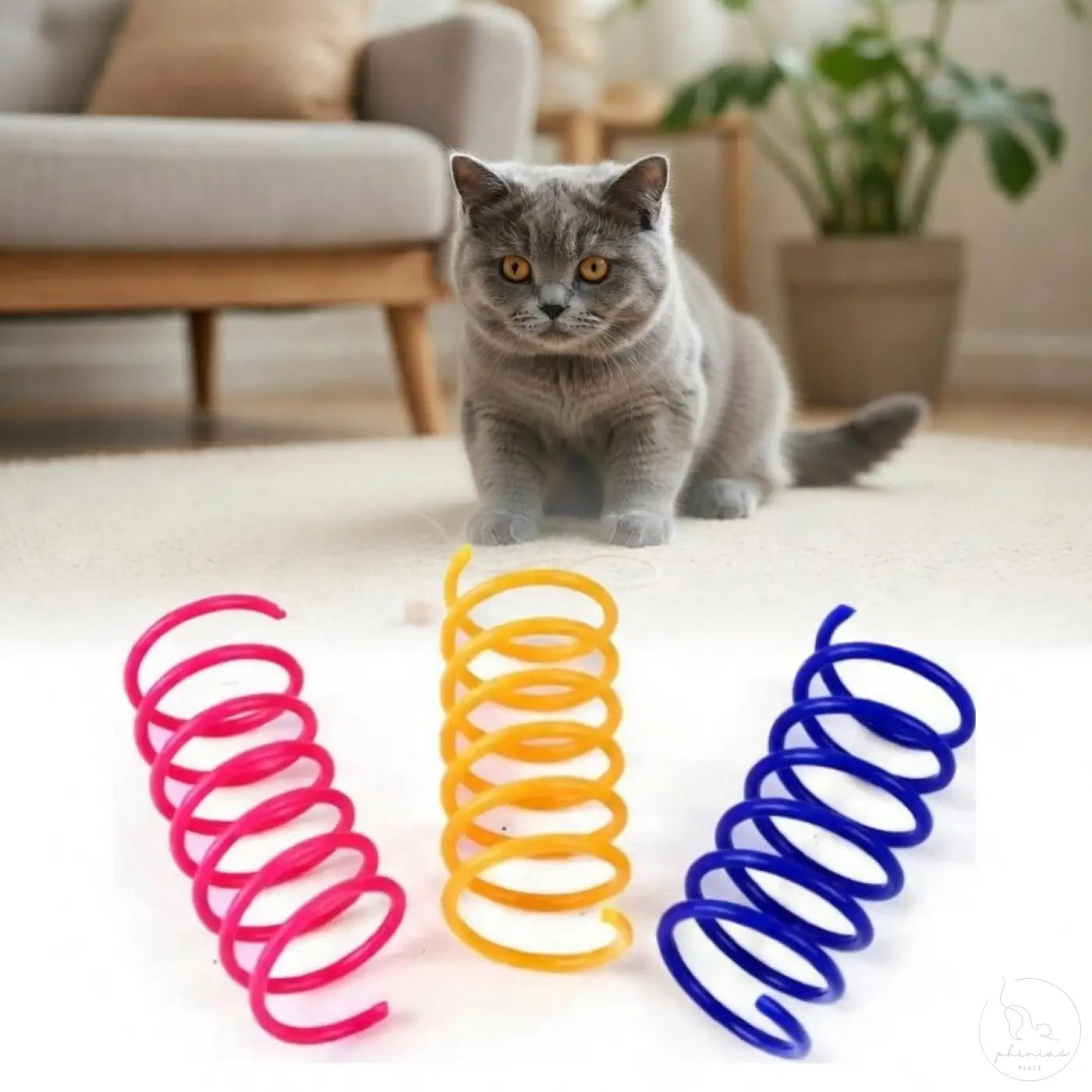Drei bunte Spiralfedern für Katzenliebhaber in Pink, Gelb, Blau