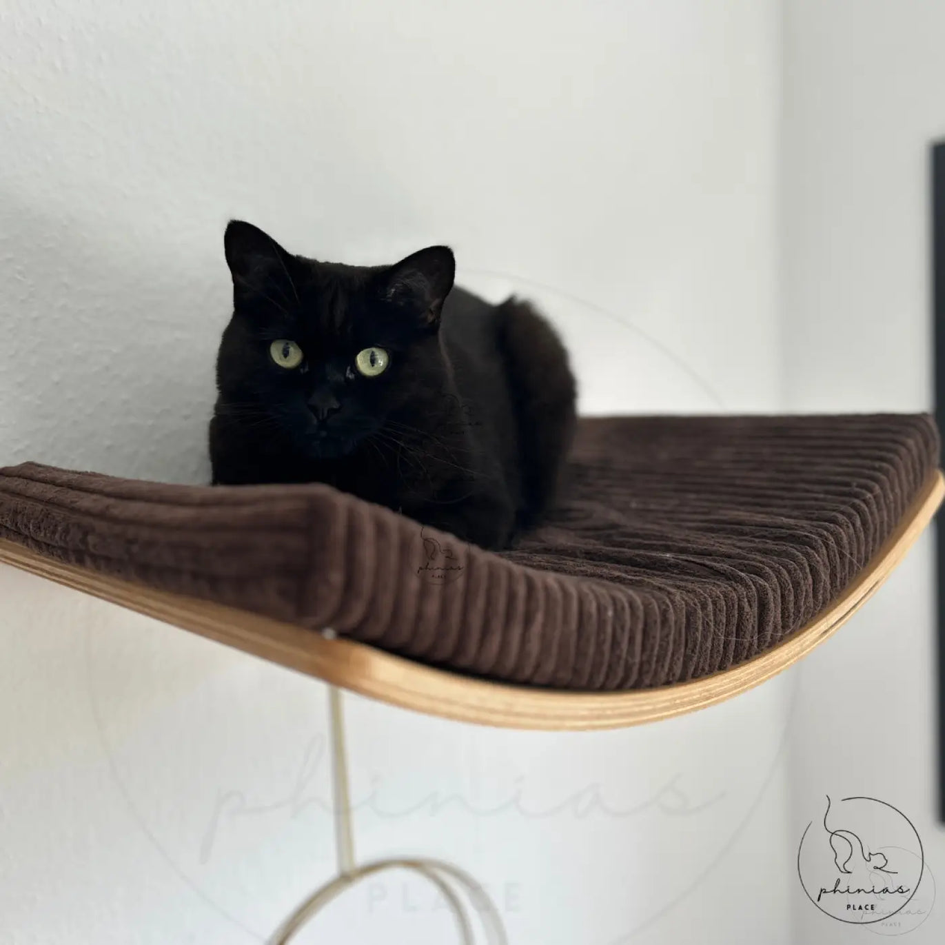 Schwarze Katze auf braunem corduroy Regal zur Katzenliege mit angebrachten druckknöpfen ausgeliefert