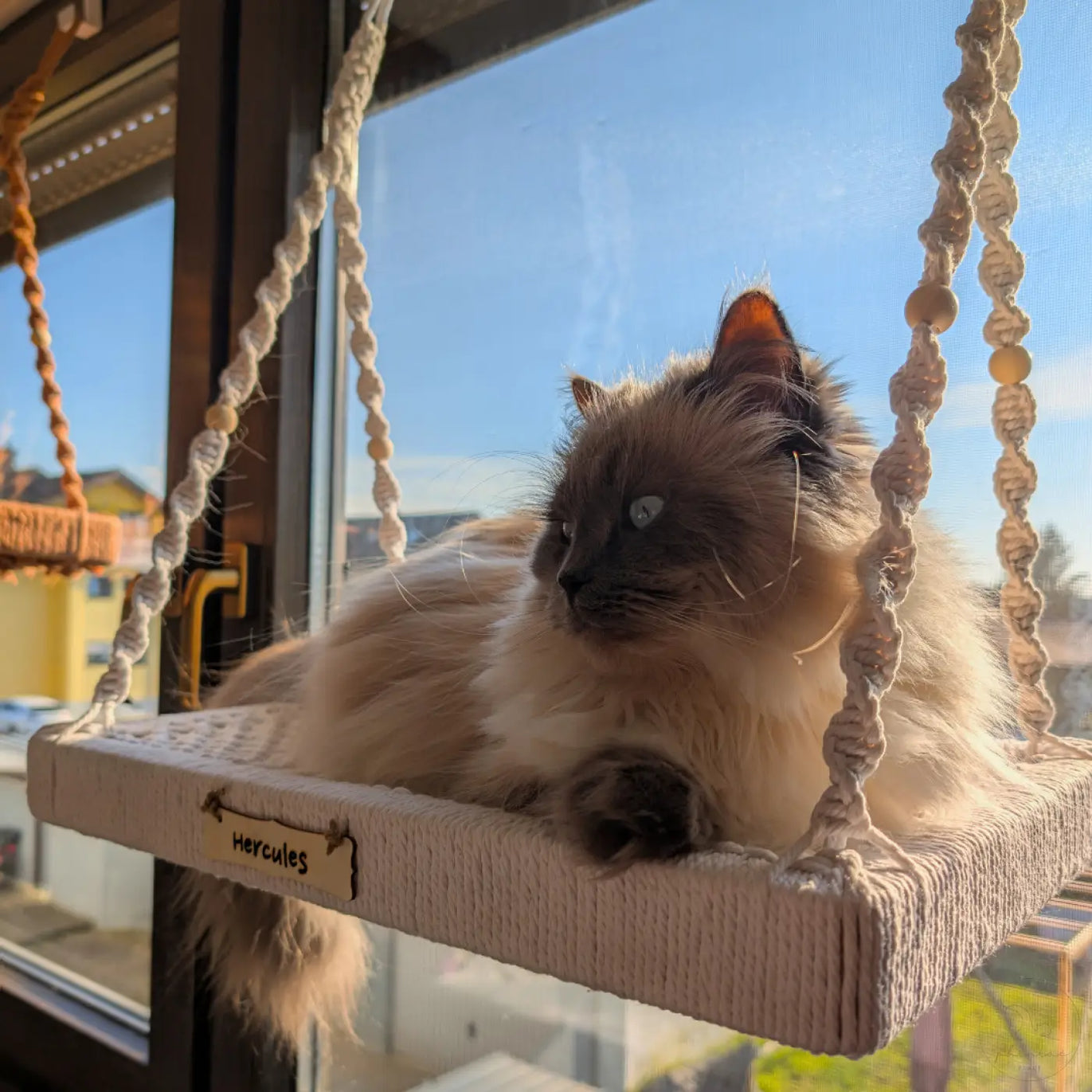 Makramee-Katzenschaukel.