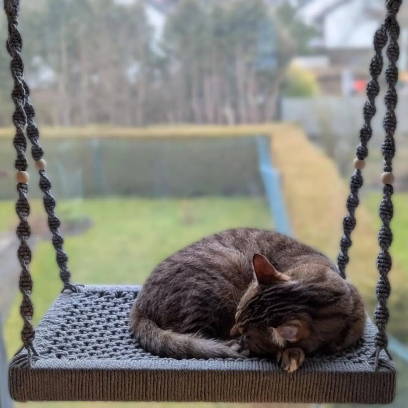 Gemütliche getigerte Katze schläft in Phinias Fensterliege Katze