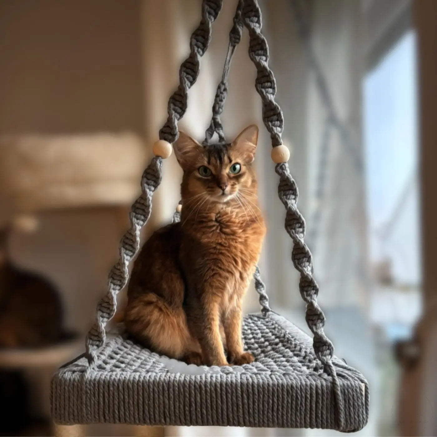 Graue Makramee Fensterliege Katze Phinias mit Holzperlen und Haken