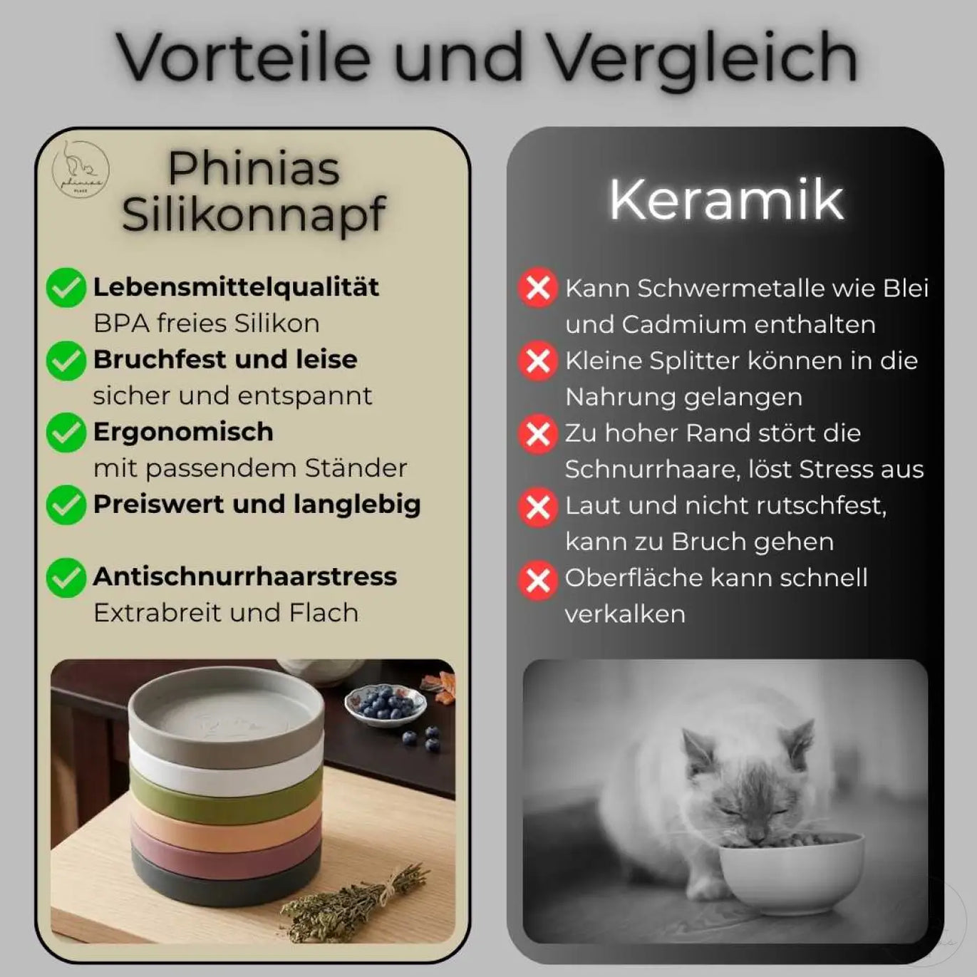 Phinias katzennapf aus buntem bpa-freiem silikon mit mattem finish gegen antischnurrhaarstress bei norwegischen waldkatzen