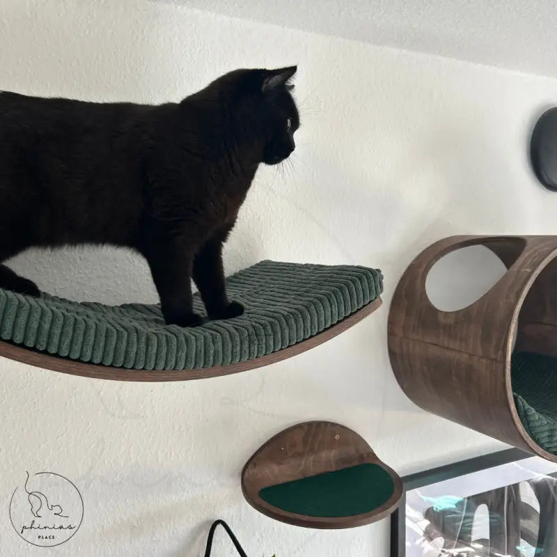 Schwarze Katze auf grüner gepolsterter Liegefläche der Phinias gebogenen Katzenliege