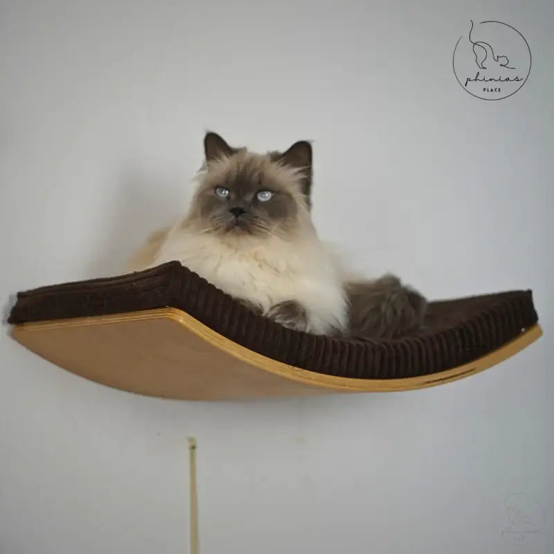 Ragdoll Katze auf gebogener Liegefläche der Phinias gebogenen Katzenliege