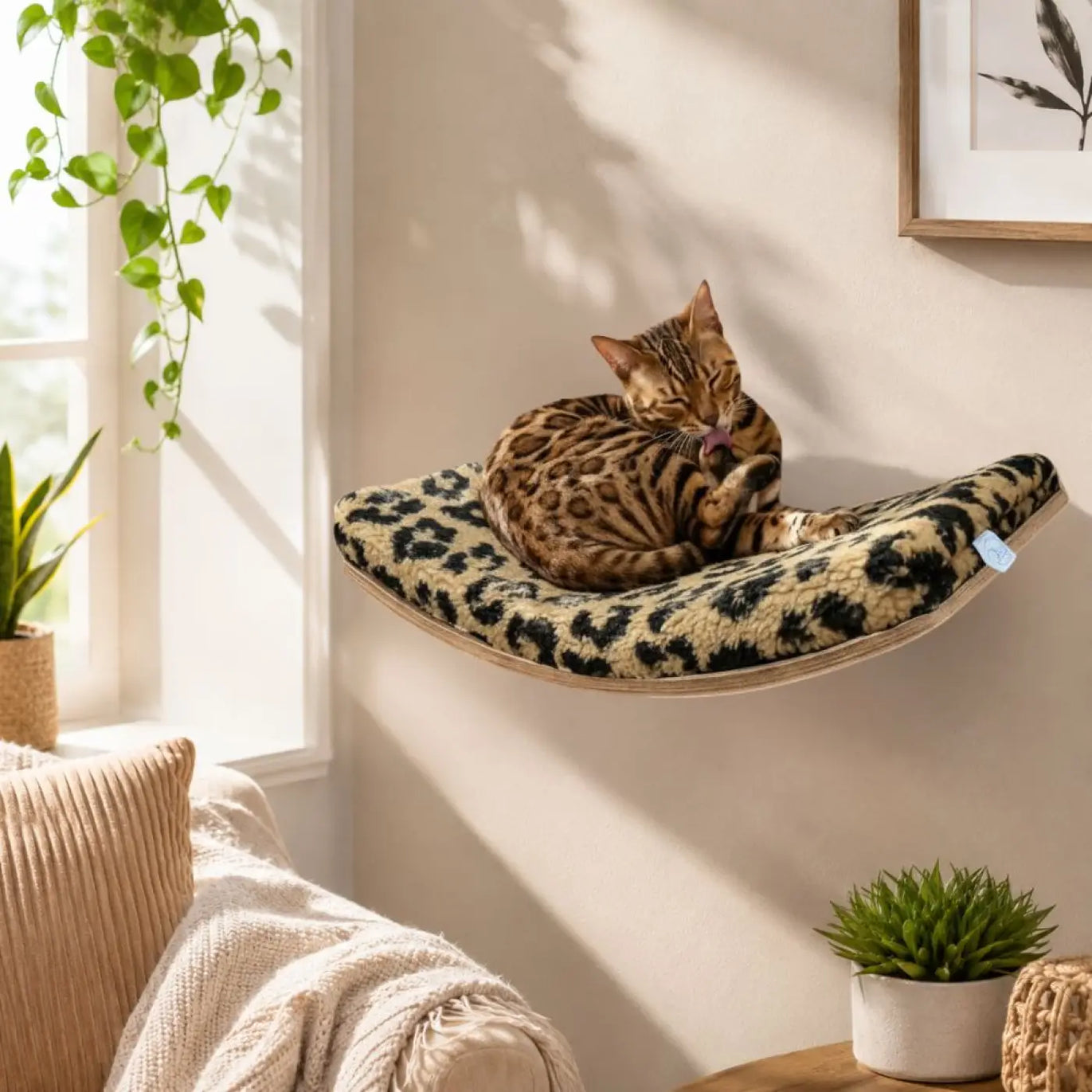 Phinias gebogene katzenliege mit leopardenmuster und schwebendem design aus buche sperrholz mit fischer duopower-dübeln