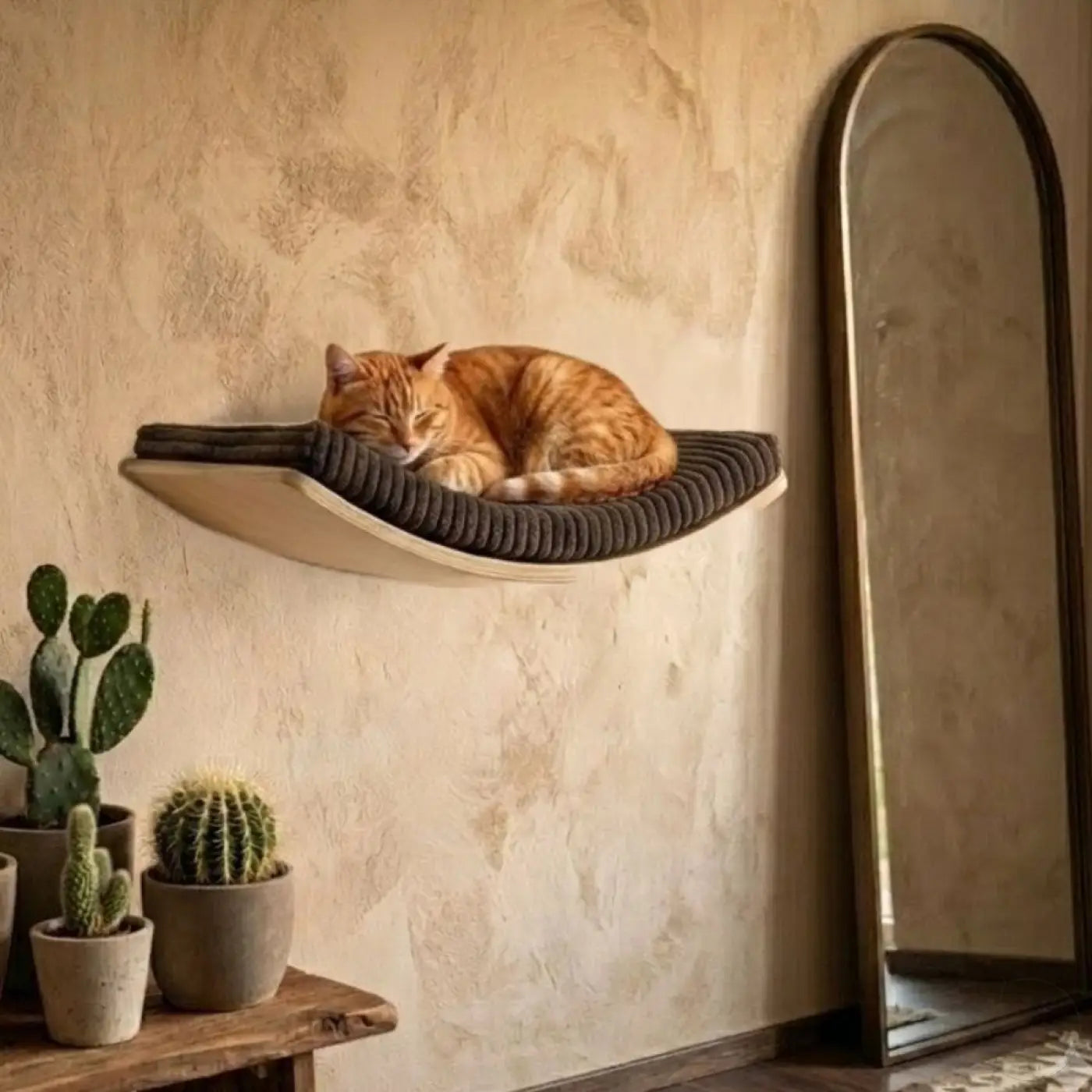 Orange tabby katze auf phinias gebogene katzenliege in schwebendem design aus buchensperrholz mit fischer duopower-dübel