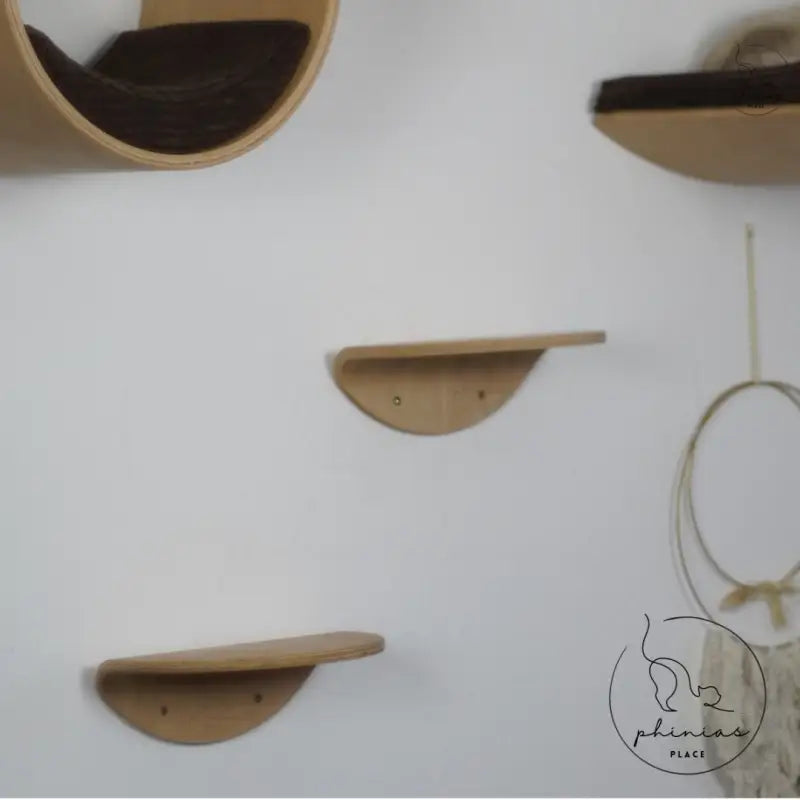 Katzenregale aus Holz.