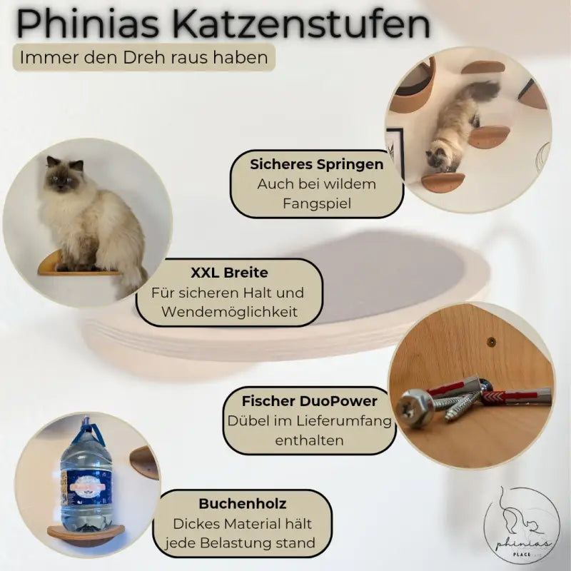 Cat Wall Steps advertisement with Phinias Stufe gebogene Kletterstufe for pets