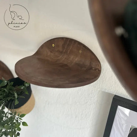 Wandregal für Katzen aus Holz.