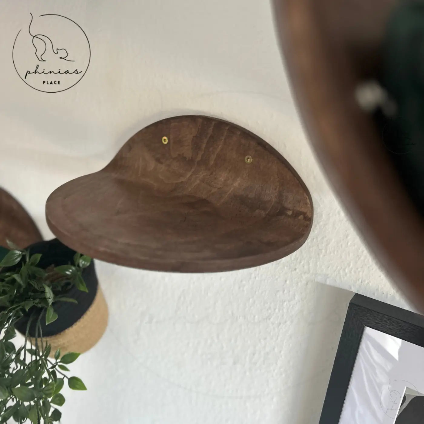 Wandregal für Katzen aus Holz.