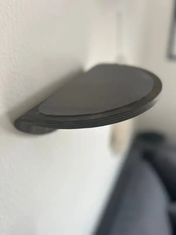 Dunkles, halbkreisförmiges Wandregal.