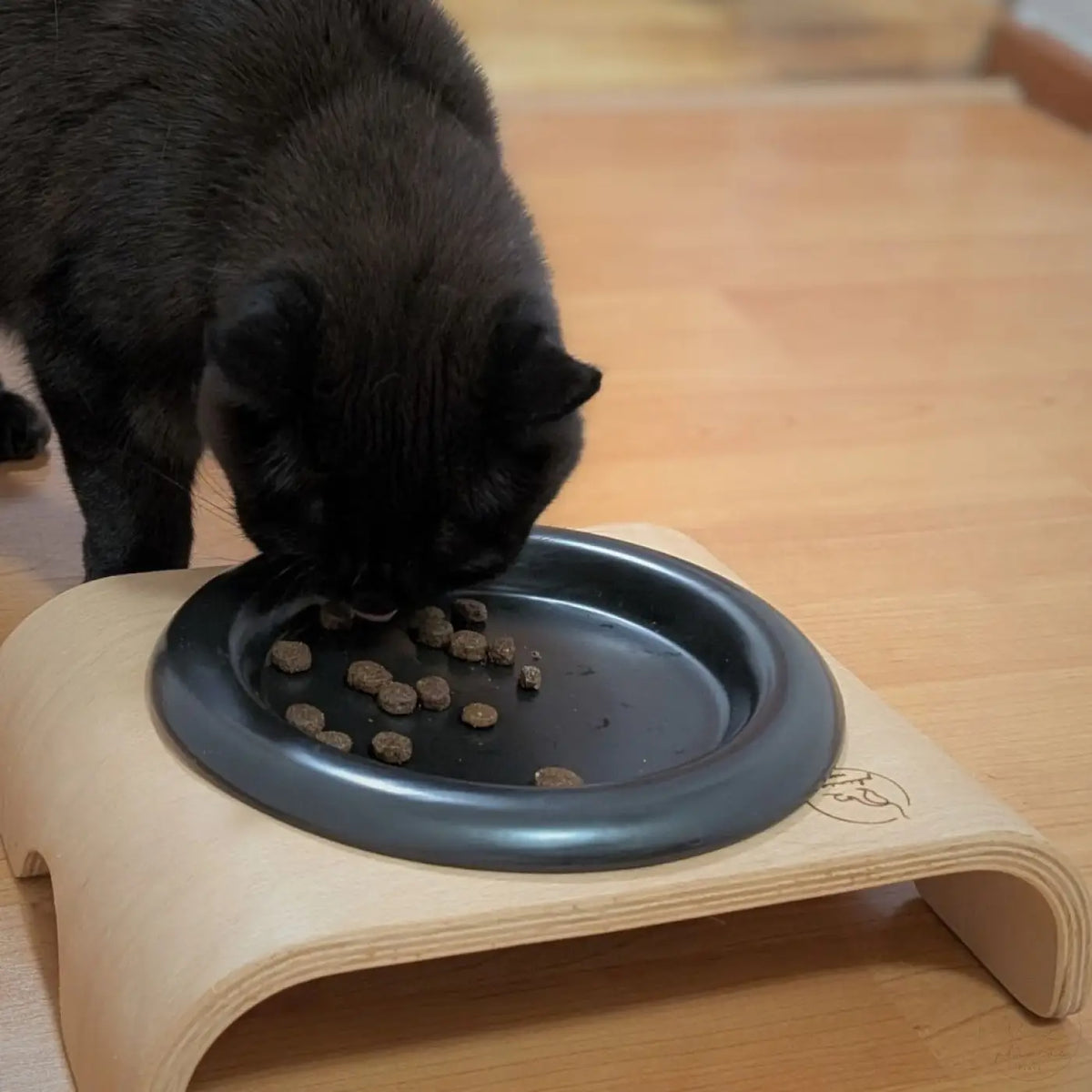 Phinias keramiknapf katzen napf schwarz matt extra flach 21 cm breit maine coon katzen lieben schnurrhaarfreundlich