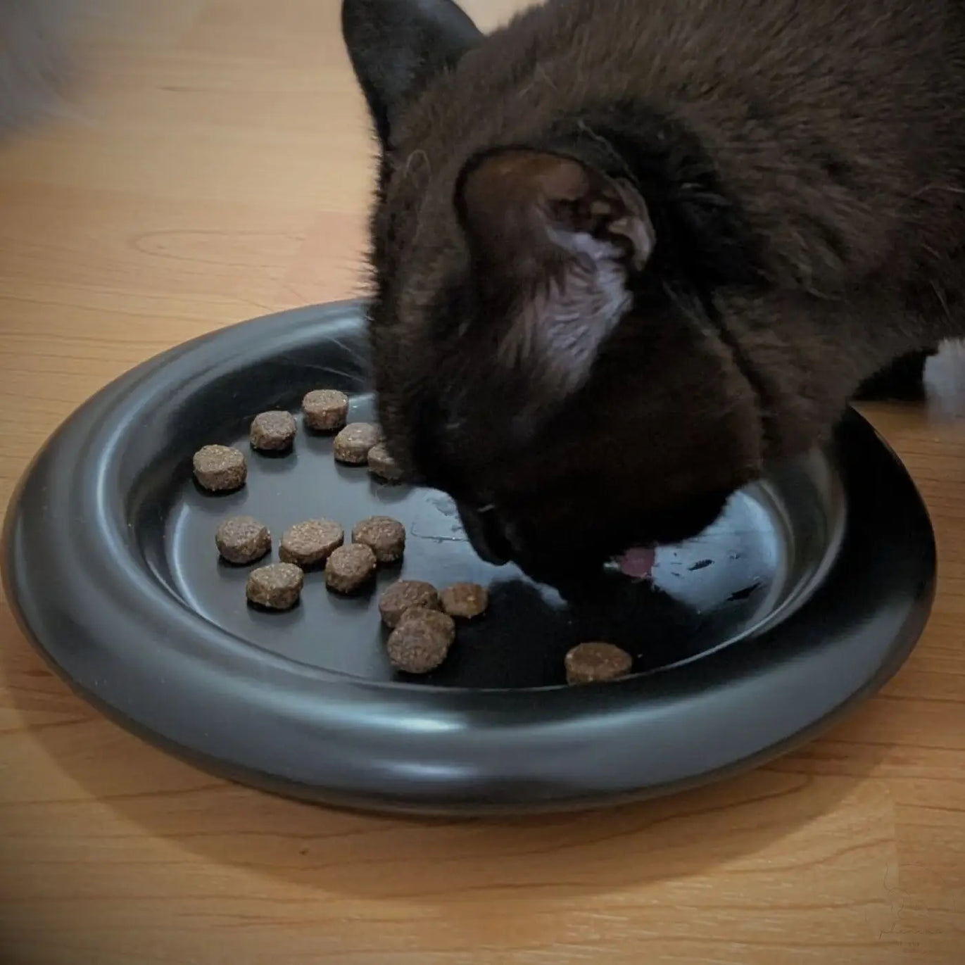 Phinias keramiknapf schwarz mit abgerundeten kanten und leicht erhöhtem rand für maine coon katzen lieben knapp 21 cm breit