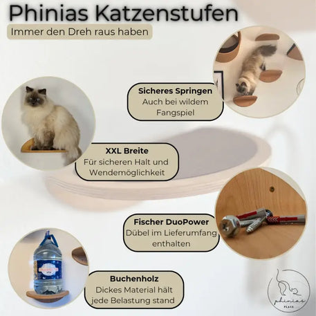 Cat Wall Steps advertisement with Phinias Stufe gebogene Kletterstufe for pets