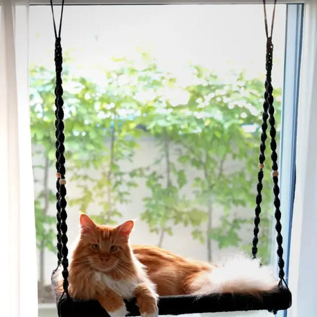 Orange Katze auf Phinias XXL Fensterliege, ideal für Maine Coons und Norwegische Waldkatzen