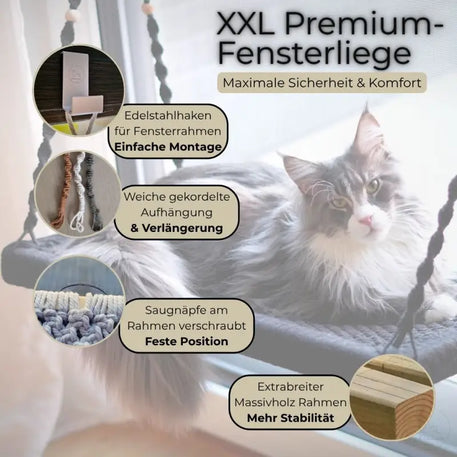 Phinias XXL Fensterliege für Maine Coon und Norwegische Waldkatzen am Fenster