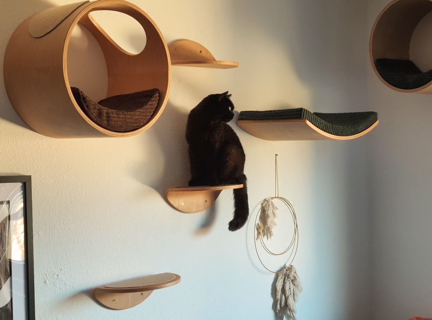 Schwarze Katze auf Wandmöbeln aus Holz