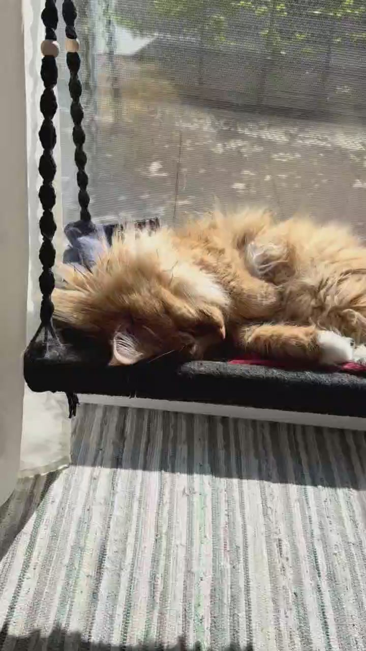 Katzen Fensterliege XXL - Phinias Katzenliege Fensterplatz mit Fensterhaken - Für Großkatzen wie Main-Coone, Norwegische Waldkatzen