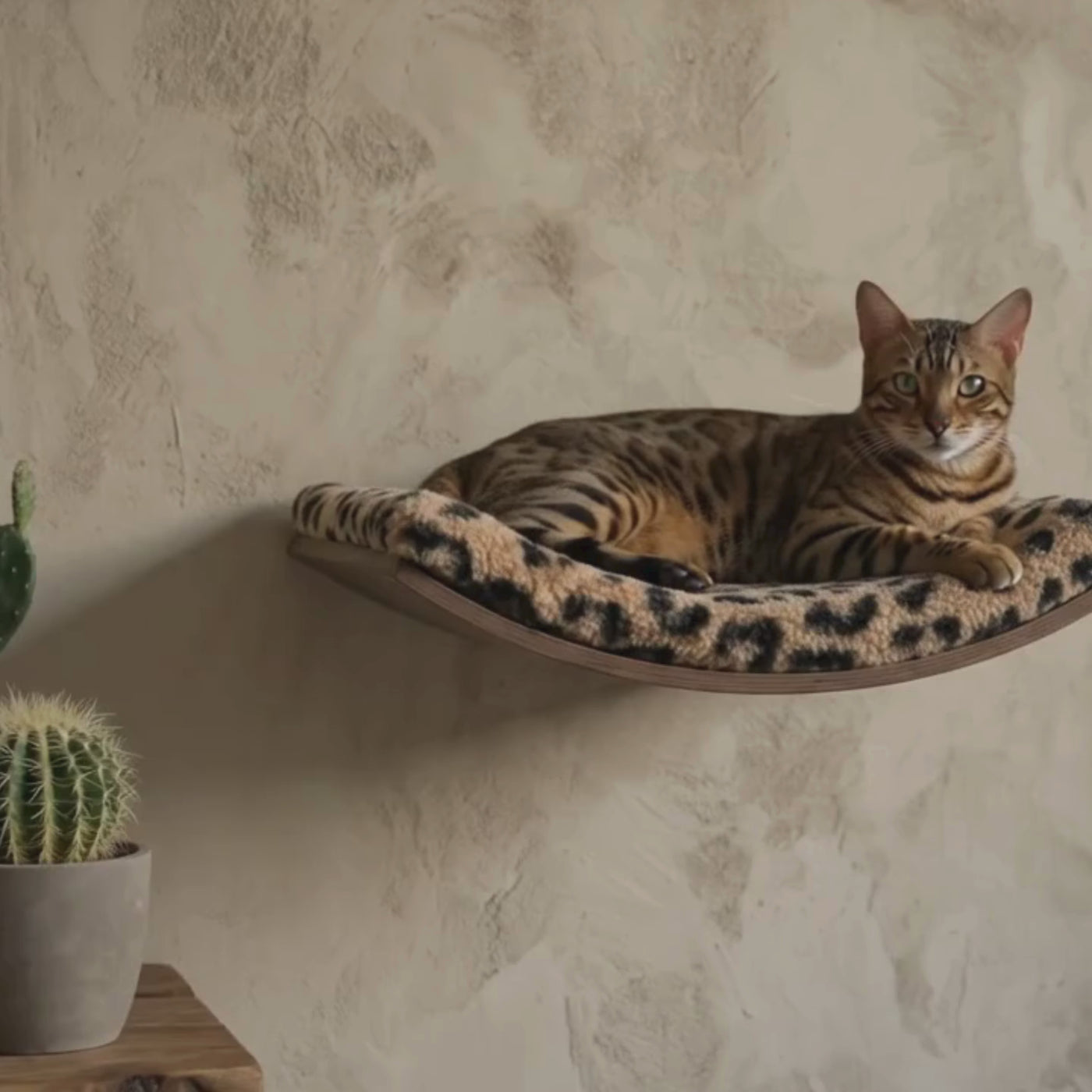 Phinias gebogene Katzenliege in schwebendem Design "Phinia" - Katzen Wandmöbel aus Buchensperrholz