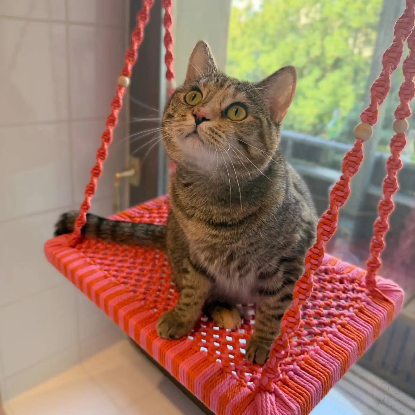 Ein tabby katze mit grünen augen sitzt auf der phinias katzenliege fensterplatz pink orange macrame vorverkauf