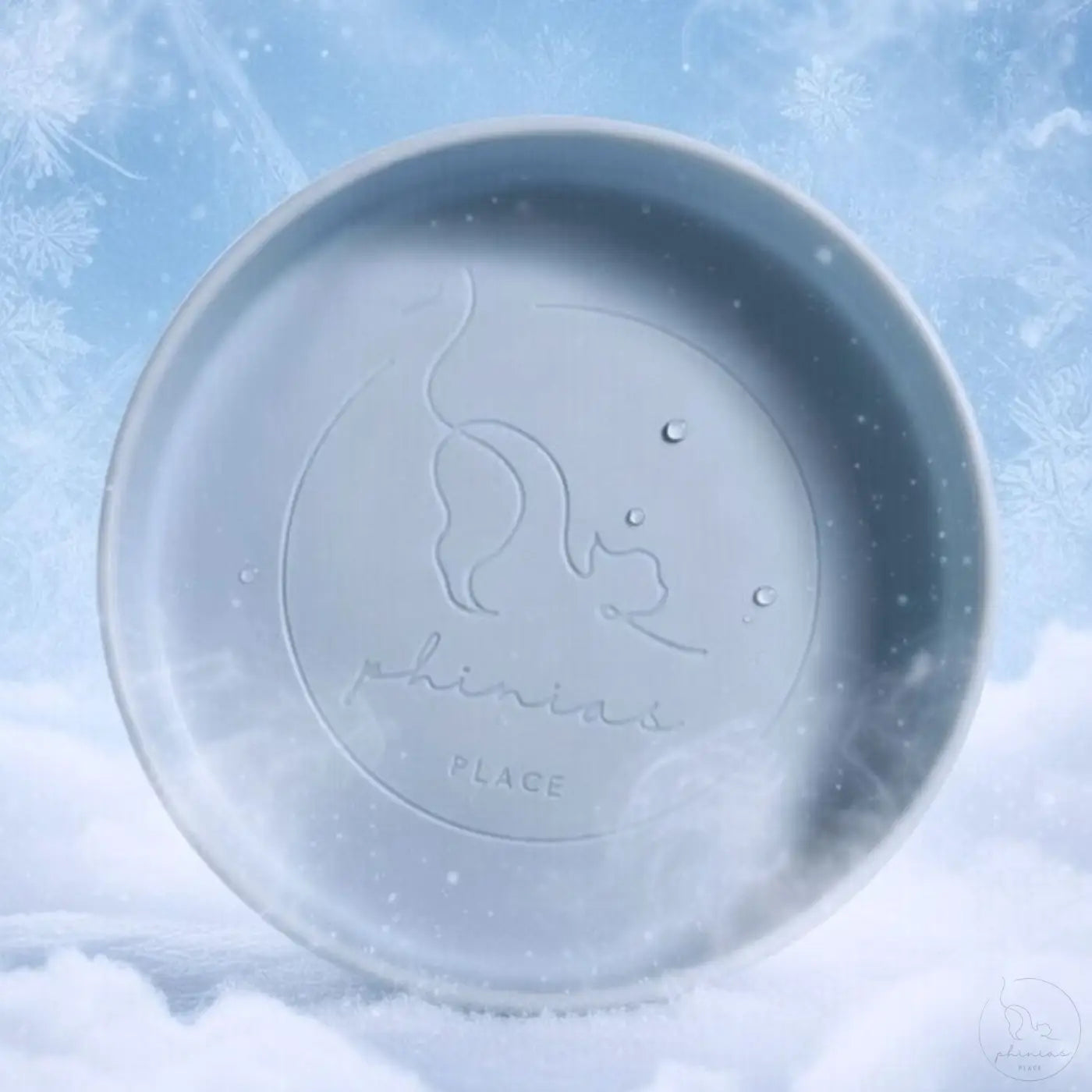 Phinias Futternapf: Transparente hellblaue Silikonschale mit Katze auf Schnee – entspanntes Fressen ohne Schnurrhaare ständig