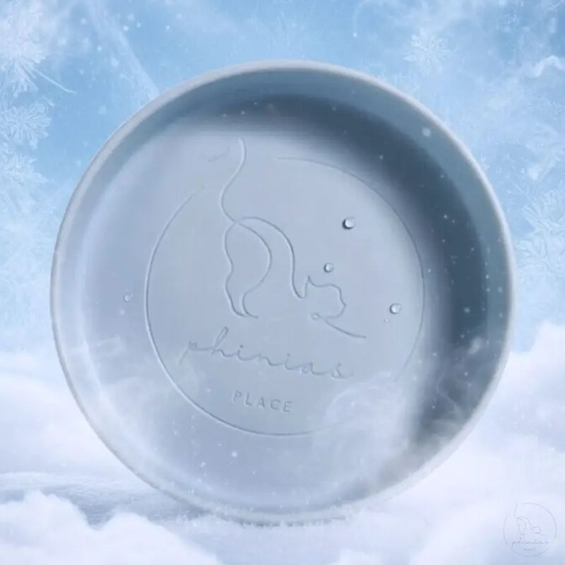 Phinias Futternapf: Transparente hellblaue Silikonschale mit Katze auf Schnee – entspanntes Fressen ohne Schnurrhaare ständig