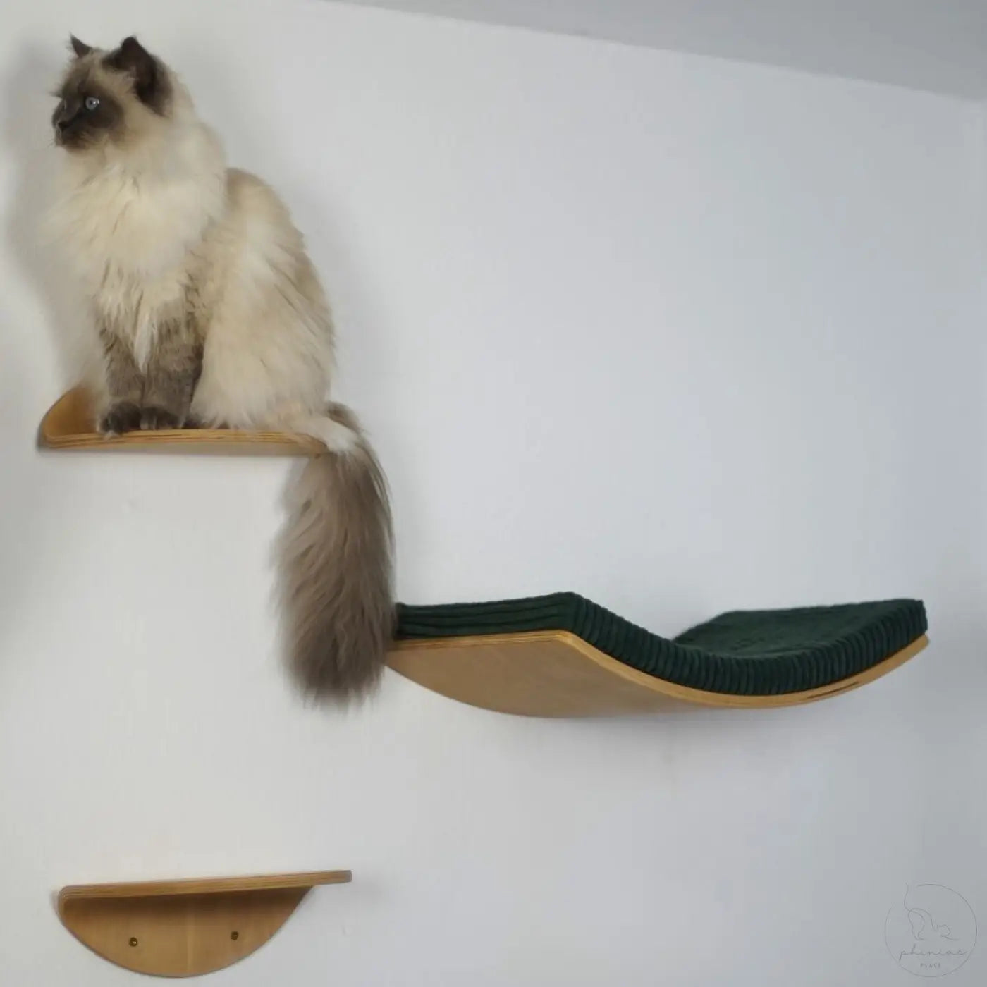 Ein schlankes, gebogenes wandliege phinia katzenregal aus holz mit dunklem grünem, geripptem kissen von joey lee stang