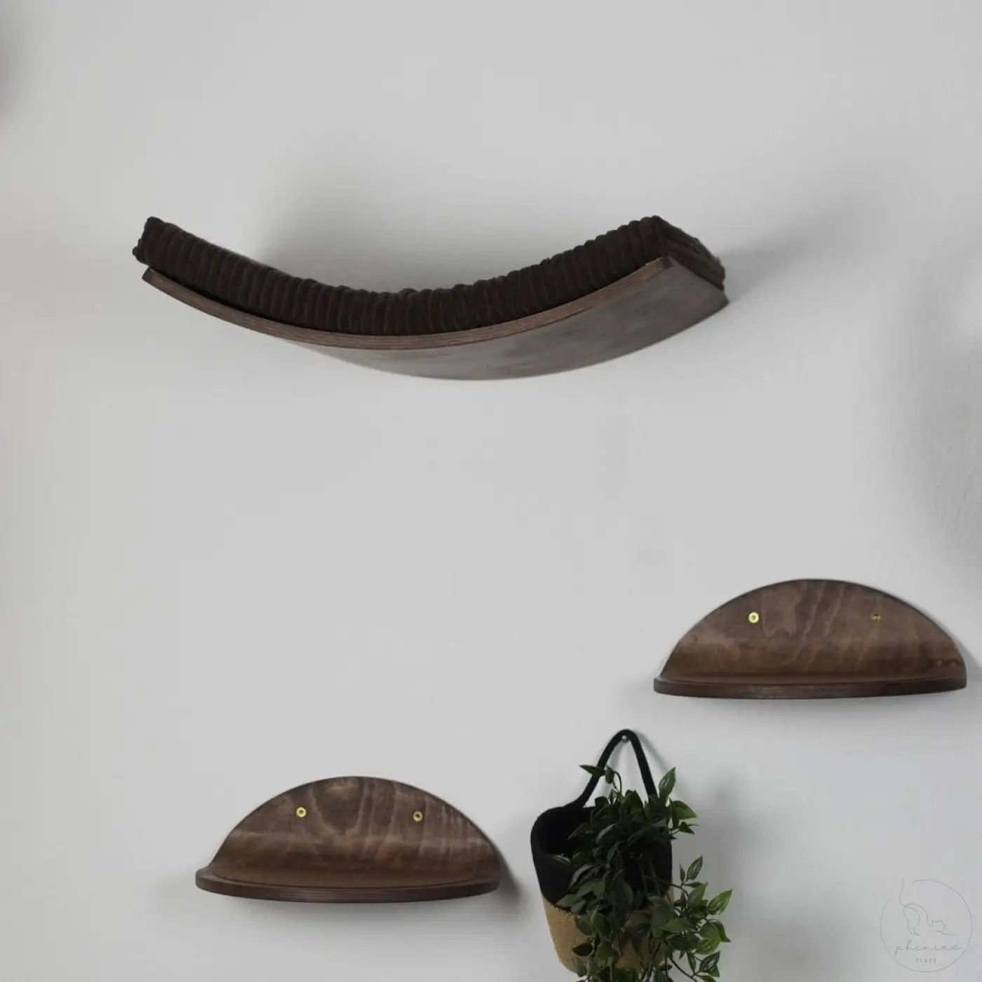 Katzenregale aus Holz.