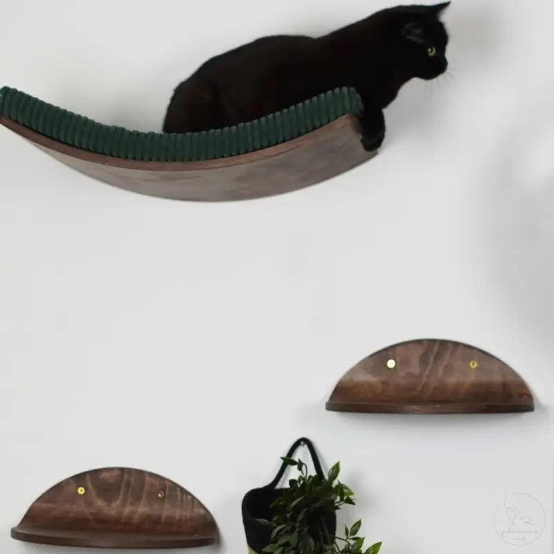 Wandmontierte Katzenregale.