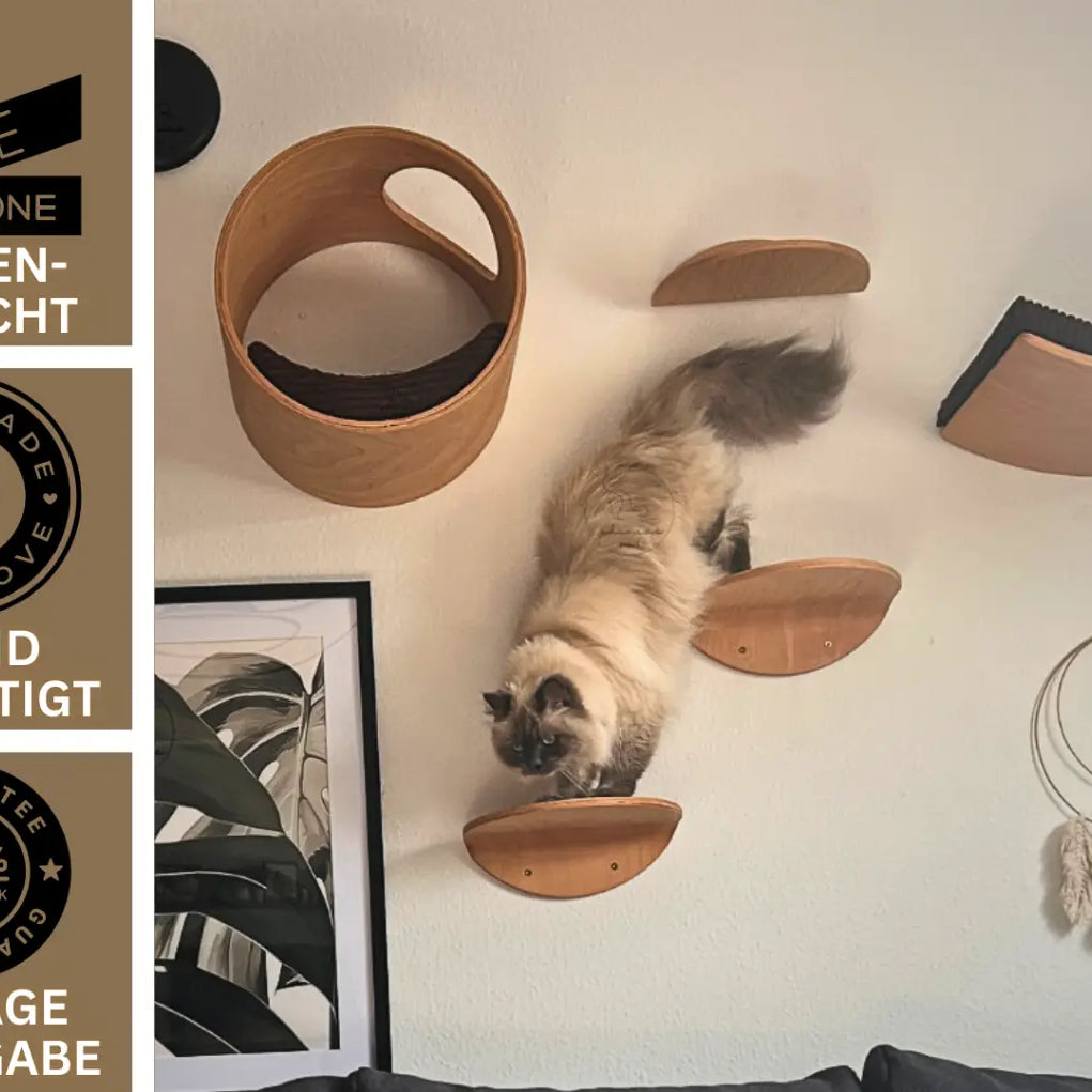 Katze klettert an Wandliege Phinia mit Katzenstufen und rundem Bett in Phinias Place