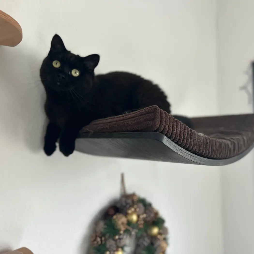 Schwarze Katze auf einem gebogenen Katzenregal.